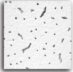 Экономичный потолок Байкал